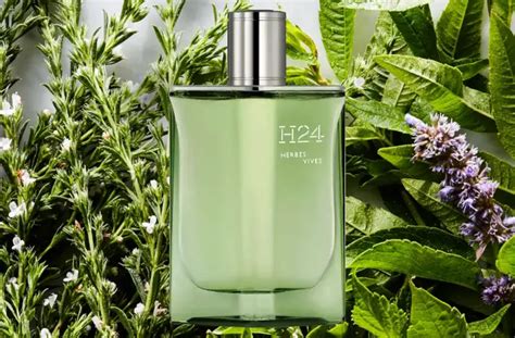 hermes h24 herbes vibes|hermes h24 perfume.